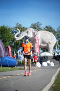 BIB: 
                            <button type="button" onclick="openModal(26543756)" class="btn btn-primary btn-sm float-right btn-popup" data-toggle="modal" data-target=".modal-high-quality">
                        <i class="fas fa-shopping-cart"></i> Add to Cart
                    </button>
                                            <button type="button" onclick="isThisMe(26543756, true)" class="btn btn-success btn-sm float-right btn-popup btn-isme hidden" data-toggle="tooltip" data-placement="bottom" title="นี่คือรูปของคุณใช่ไหม คลิกที่นี่เพื่อเอาเข้าอัลบั้ม">
                        <i class="fas fa-plus"></i> Add to album
                    </button>
                    <button type="button" onclick="isThisMe(26543756, false)" class="btn btn-warning btn-sm float-right btn-popup btn-isnotme hidden">
                        <i class="fas fa-ban"></i> Remove from album
                    </button>